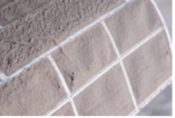 A grid drawn in the sand